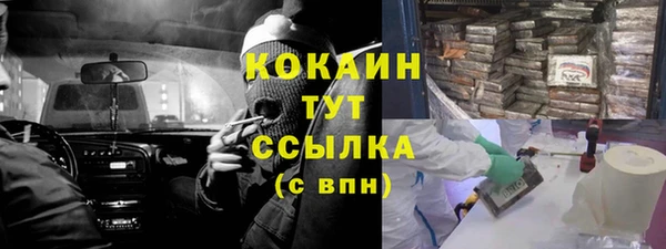 индика Мурманск