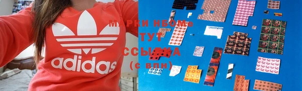 индика Мурманск