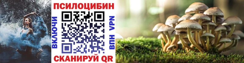 Псилоцибиновые грибы мицелий Лебедянь