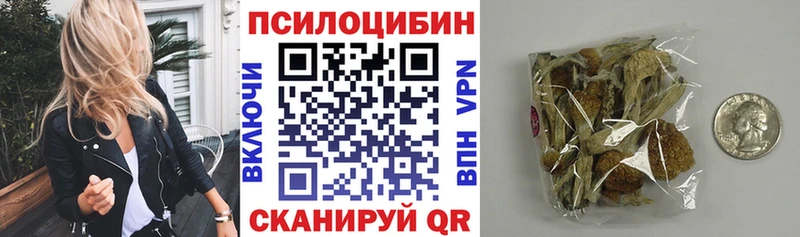 mega tor  где купить   Лебедянь  Псилоцибиновые грибы Cubensis 